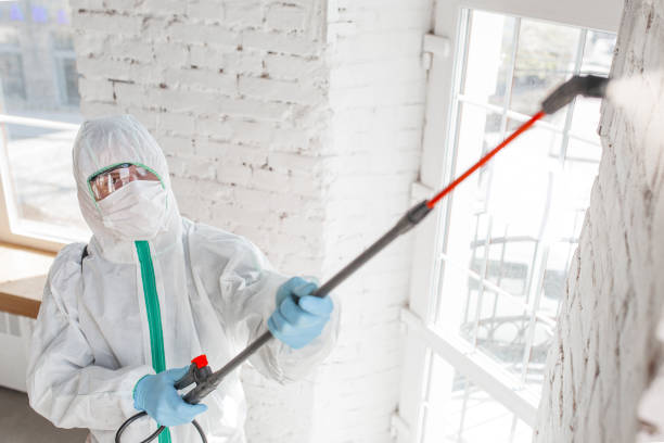 Best Residential Mold Inspection & Testing  in Le Mars, IA