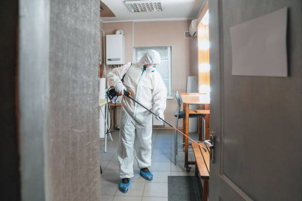 Best Comprehensive Air Testing for Mold Contaminants  in Le Mars, IA
