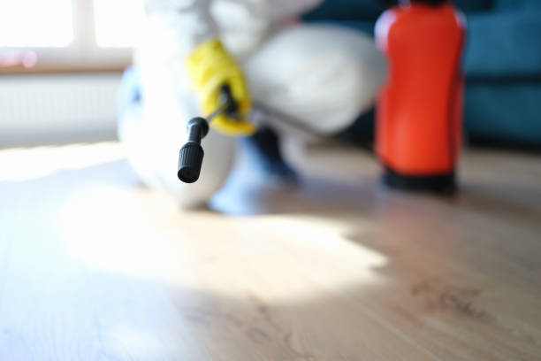 Mold Remediation for Vacation Homes in Le Mars, IA