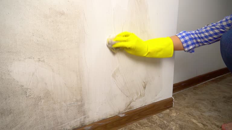 Best Air Quality Testing for Mold Spores  in Le Mars, IA