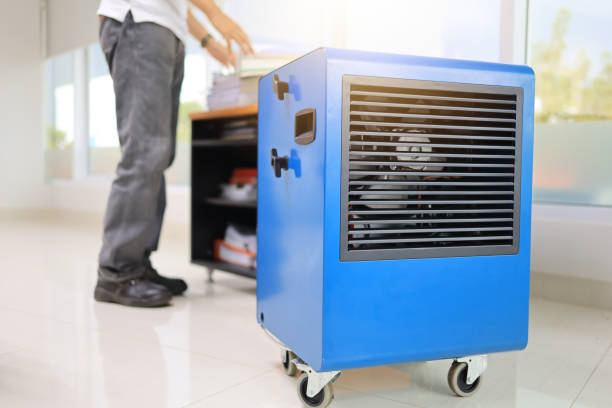 Best Mold Documentation for Insurance Claims  in Le Mars, IA