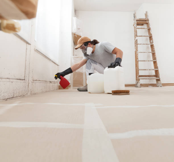 Best Dehumidification Services  in Le Mars, IA