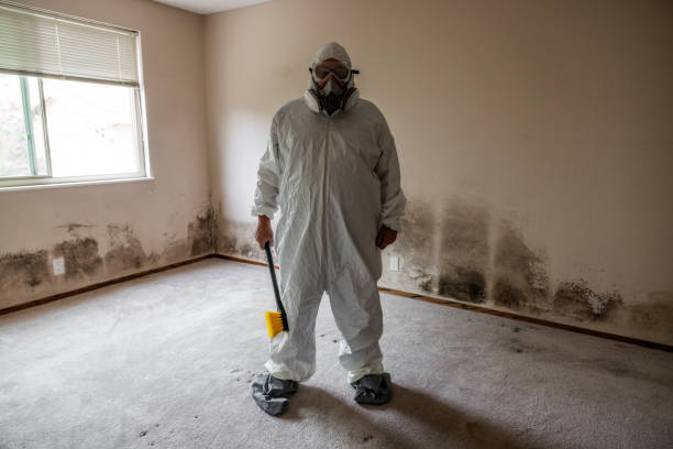 Best Black Mold Removal  in Le Mars, IA